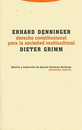 Imagen de DERECHO CONSTITUCIONAL PARA LA SOCIEDAD