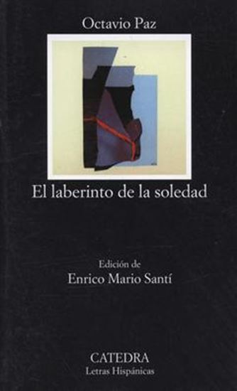 Imagen de EL LABERINTO DE LA SOLEDAD