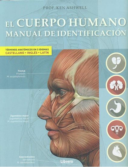 Imagen de EL CUERPO HUMANO. MANUAL DE IDENTIFICACI