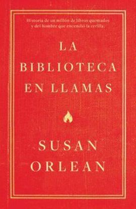 Imagen de LA BIBLIOTECA EN LLAMAS