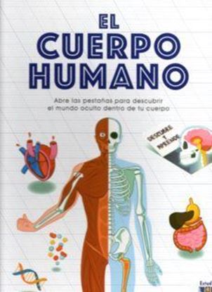 Imagen de EL CUERPO HUMANO. DESCUBRE Y APRENDE