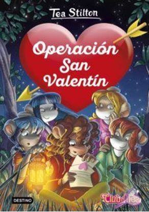 Imagen de TS DETECTIVE 5. OPERACION SAN VALENTIN