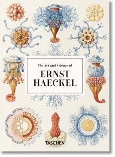 Imagen de ERNST HAECKEL (GB) (40)