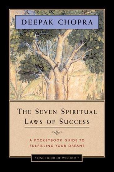 Imagen de THE SEVEN SPIRITUAL LAWS OF SUCCESS