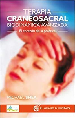 Imagen de TERAPIA CRANEOSACRAL BIODINAMICA AVANZAD