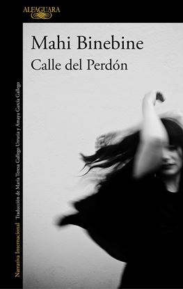 Imagen de CALLE DEL PERDON (OF2)