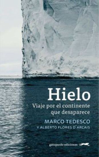 Imagen de HIELO. VIAJE POR EL CONTINENTE QUE DESAP