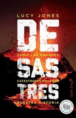 Imagen de DESASTRES. COMO GRANDES CATASTROFES