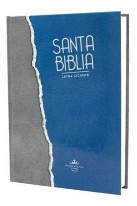 Imagen de SANTA BIBLIA RVR LG AZUL/GRIS TD