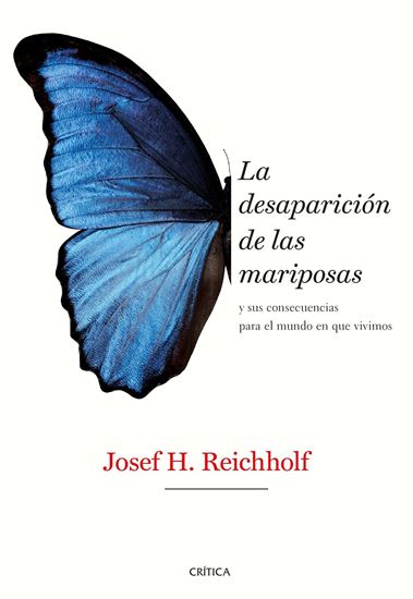 Imagen de LA DESAPARICION DE LAS MARIPOSAS