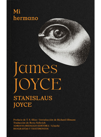 Imagen de MI HERMANO JAMES JOYCE