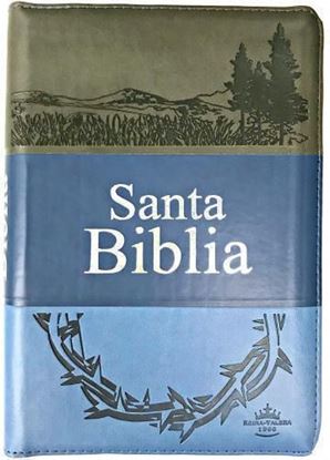 Imagen de SANTA BIBLIA TRITONO RVR (GRIS/AZUL C/)