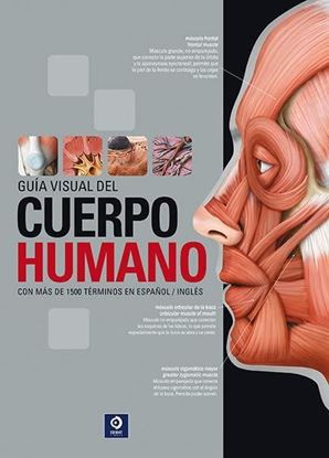 Imagen de GUIA VISUAL DEL CUERPO HUMANO