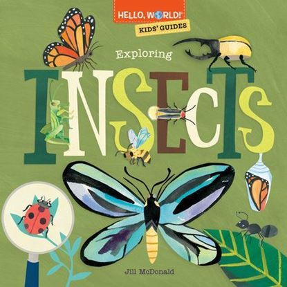 Imagen de GUIDES: EXPLORING INSECTS