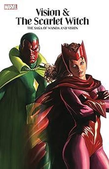 Imagen de VISION & THE SCARLET WITCH: THE SAGA OF