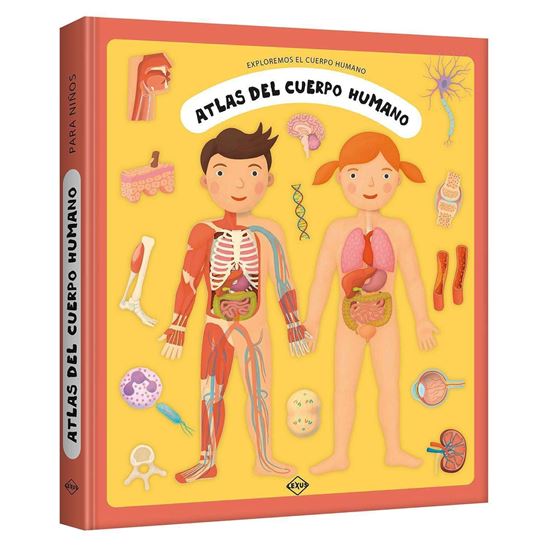 Imagen de ATLAS DEL CUERPO HUMANO. EXPLOREMOS