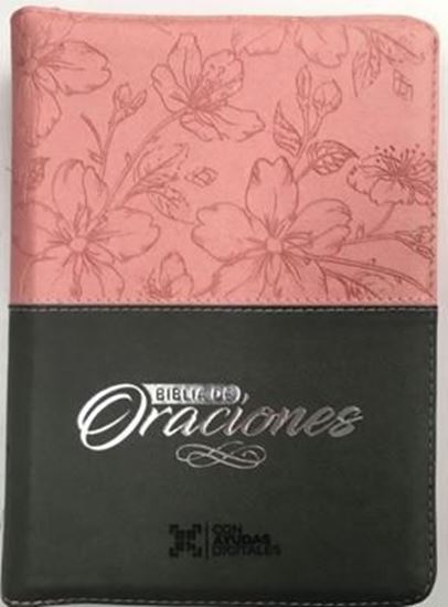 Imagen de SANTA BIBLIA RV LG ORACION (ROSA/GRIS)