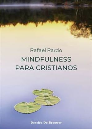 Imagen de MINDFULNESS PARA CRISTIANOS