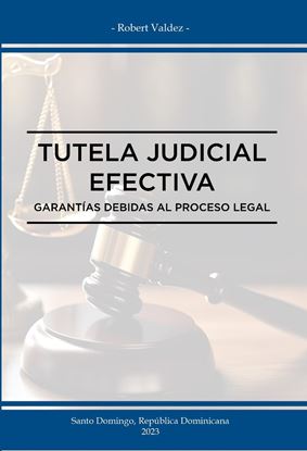 Imagen de TUTELA JUDICIAL EFECTIVA