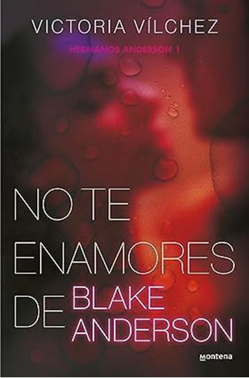 Imagen de NO TE ENAMORES DE BLAKE ANDERSON (1)