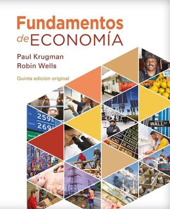 Imagen de FUNDAMENTOS DE ECONOMIA 4 ED. (5A. ED.)