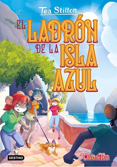 Imagen de EL LADRON DE LA ISLA AZUL