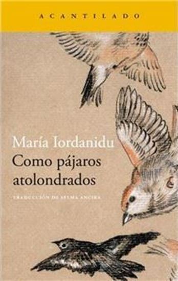 Imagen de COMO PAJAROS ATOLONDRADOS