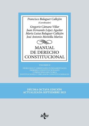 Imagen de MANUAL DE DERECHO CONSTITUCIONAL