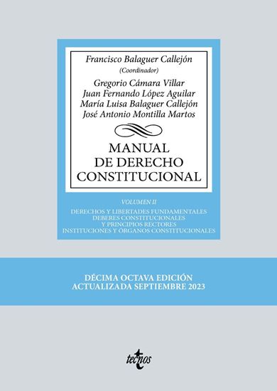 Imagen de MANUAL DE DERECHO CONSTITUCIONAL