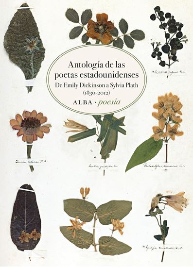 Imagen de ANTOLOGIA DE LAS POETAS ESTADOUNIDENSES