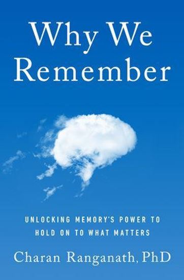 Imagen de WHY WE REMEMBER (MR EXP)