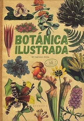 Imagen de BOTANICA ILUSTRADA