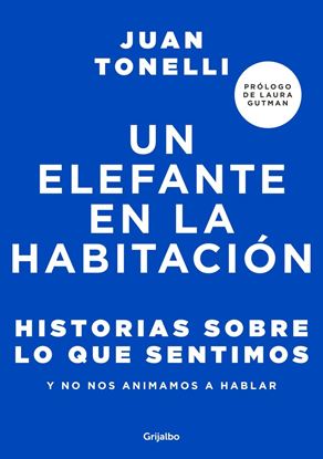 Imagen de UN ELEFANTE EN LA HABITACION: HISTORIAS