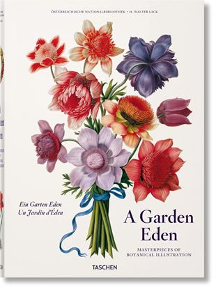 Imagen de GARDEN EDEN (INT)