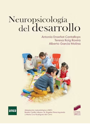 Imagen de NEUROPSICOLOGIA DEL DESARROLLO