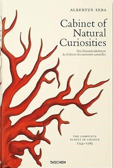 Imagen de CABINET OF NATURAL CURIOSITIES (FP) (INT