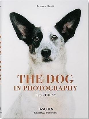 Imagen de THE DOG IN PHOTOGRAPHY 1839–TODAY (BU)