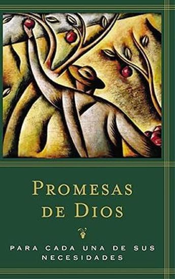 Imagen de PROMESAS DE DIOS / RUSTICA