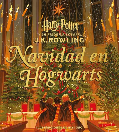 Imagen de HARRY POTTER. NAVIDAD EN HOWGARTS