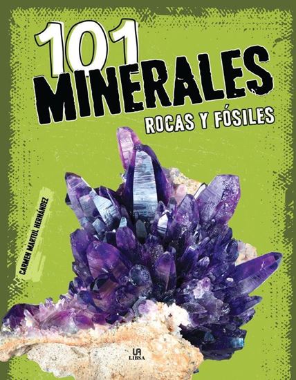 Imagen de 101 MINERALES Y FOSILES