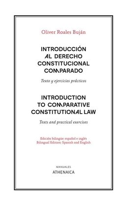 Imagen de INTRODUCCION AL DERECHO CONSTITUCIONAL